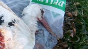 Хаджидимово