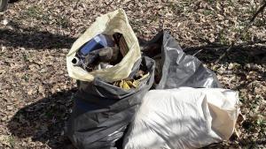 боклуци преслав