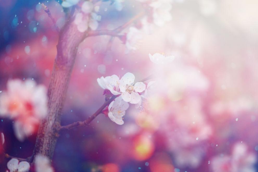  дъжд пролет дъждовно време прогноза 