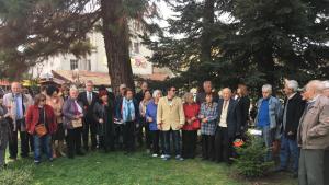 засаждане на елхичка