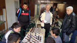 шахмат Монтана