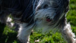 време вятър дъжд