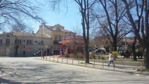 Гривица нон стоп