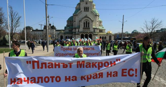 Автобусни предвозвачи протестират и у насПротест в защита на българските