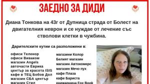 Дупница