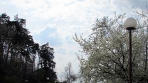 Белоградчик