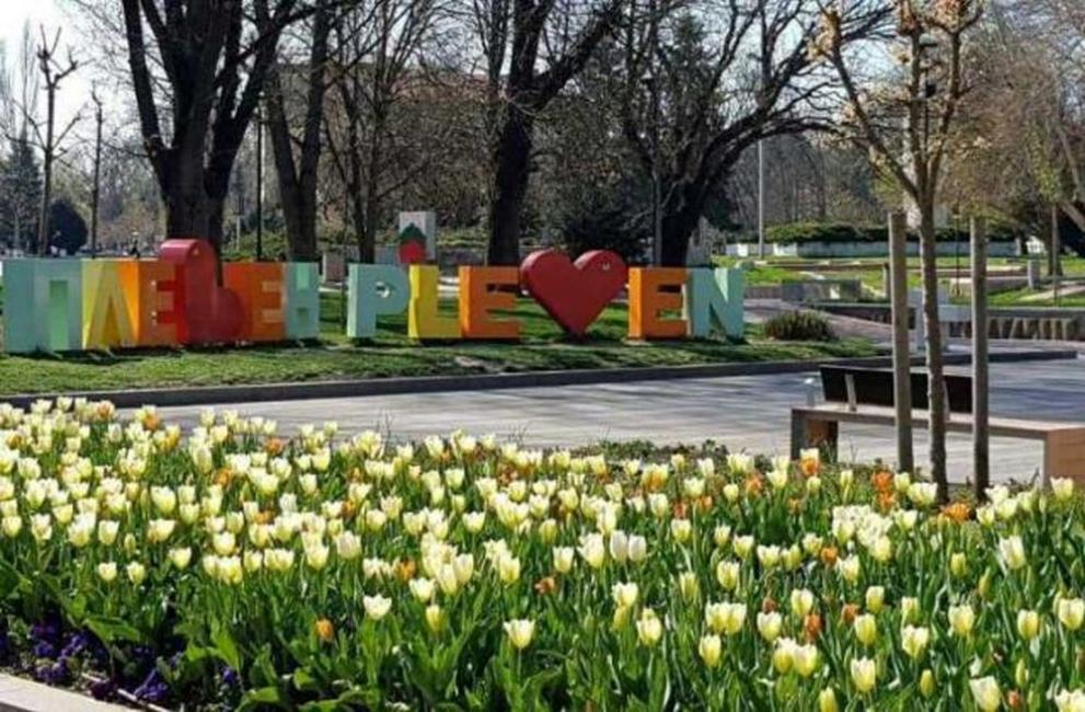  Пъстри лалета и теменужки украсяват центъра на Плевен (СНИМКИ) - Плевен - DarikNews.bg 