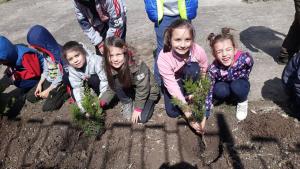 Залесяване