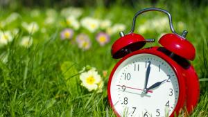 часовник пролет поляна