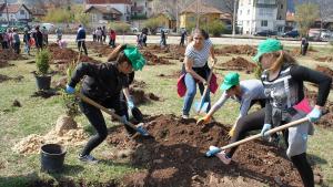 залесяване Враца