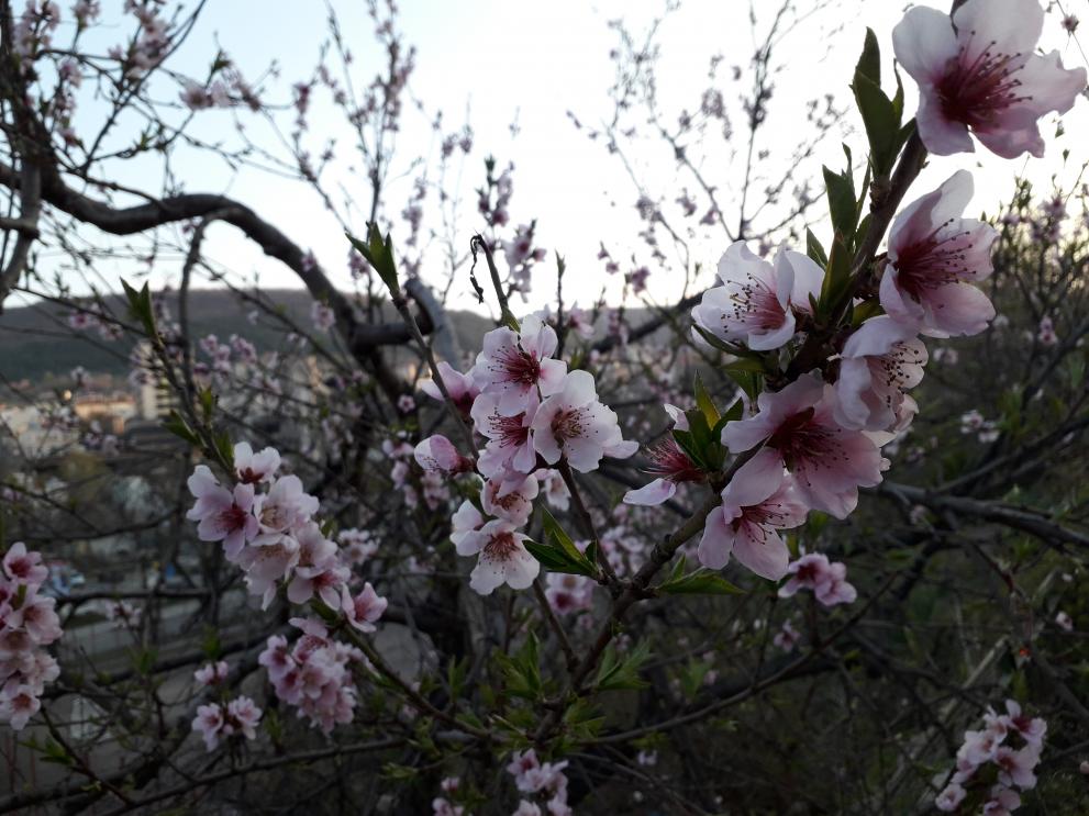  Деян Герговски 