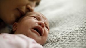 родители бебе майка рев