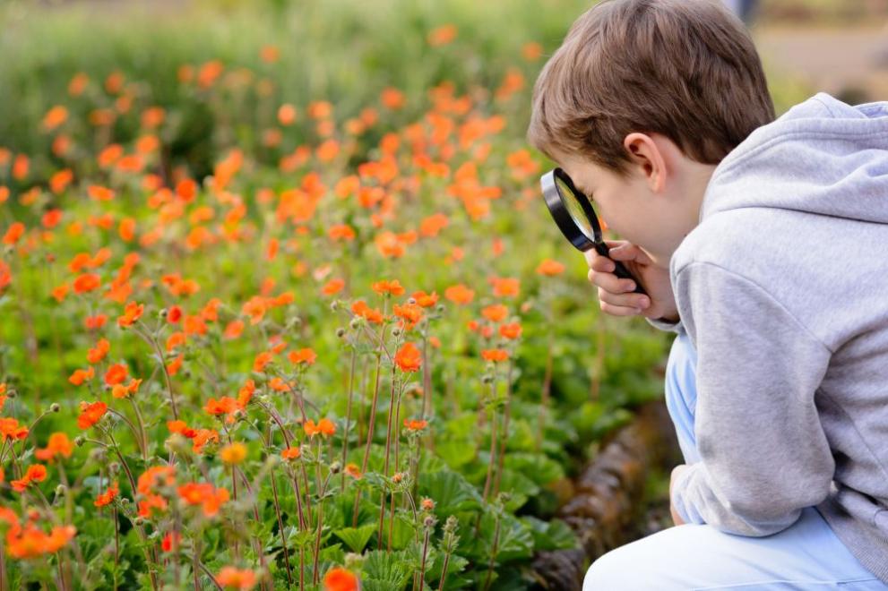  времето дете поляна цветя 