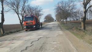 път албена