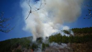 Благоевград пожар