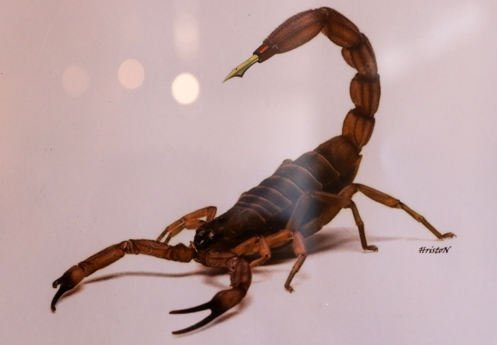 Христо Недялков - Хри100