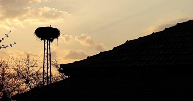 Повече от три десетилетия семейство Чауш посреща в дома си