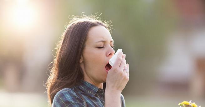 С настъпване на пролетта алергиите зачестяват Те възникват когато имунната