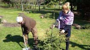 Бургас засаждане