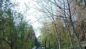 пролетно почистване стъпала