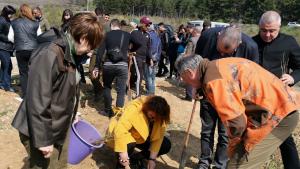 залесяване