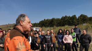 залесяване