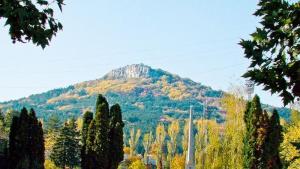 Горна Оряховица