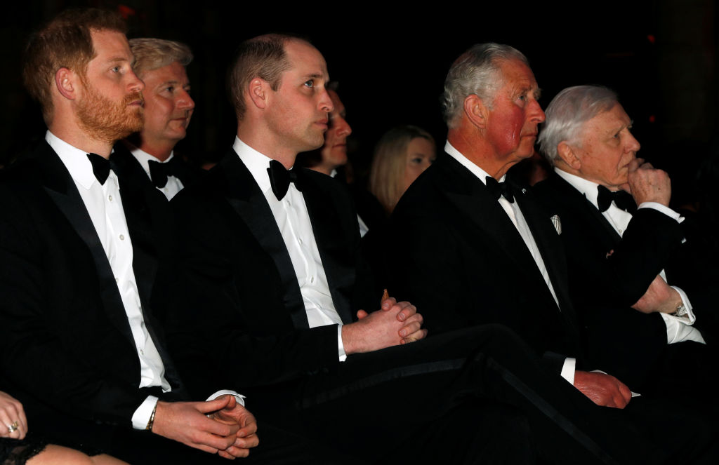 Британският престолонаследник принц Чарлз и синовете му Уилям и Хари присъстваха на световната премиера на телевизионната поредица „Нашата планета“ на Нетфликс, засвидетелствайки подкрепата на кралското семейство за борбата срещу климатичните промени