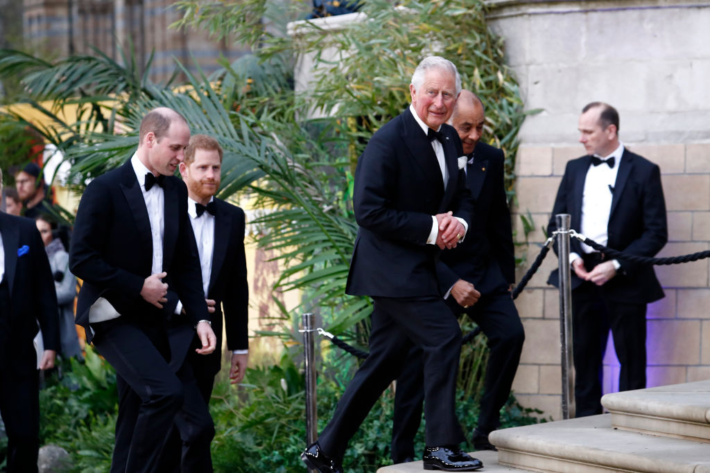 Британският престолонаследник принц Чарлз и синовете му Уилям и Хари присъстваха на световната премиера на телевизионната поредица „Нашата планета“ на Нетфликс, засвидетелствайки подкрепата на кралското семейство за борбата срещу климатичните промени