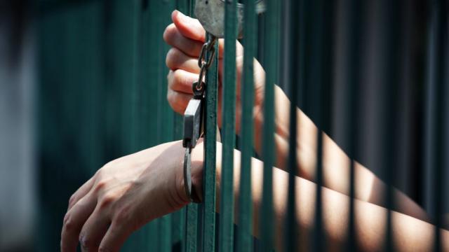 Надзиратели хванаха котка, пренасяла мобилни телефони за затворници