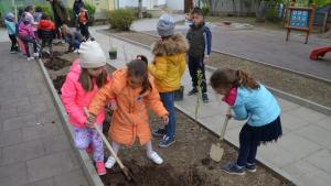 детска градина Враца