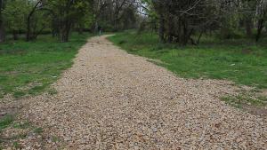 дивдядово парк