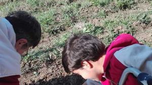 трудотерапия