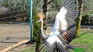 Зоопарк Бургас