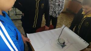 Роботите Финч