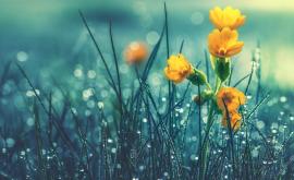  Днес слънчево и безшумно, от на следващия ден още веднъж дъжд и градушки 