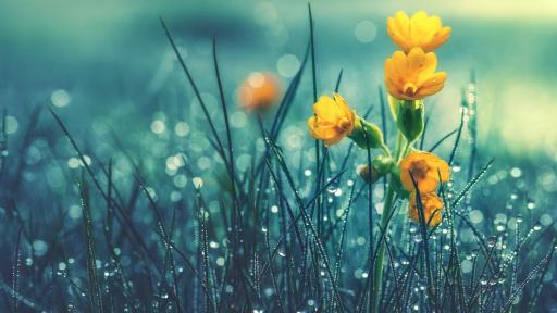  <p>Дъжд и вятър, по кое време ще се затопли</p> 