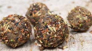 инициатива Цветница