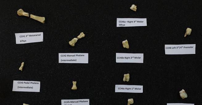 При разкопки във Филипините бяха открити 13 кости и зъби,