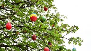 великден Враца