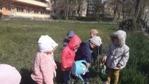 дръвчета сидп приют