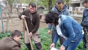 дръвчета сидп приют