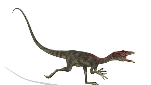 В Англия откриха останки от непознат вид динозавър с размерите на кокошка (ВИДЕО)