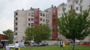 Димитровград почистване