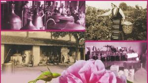 РИМ Габрово