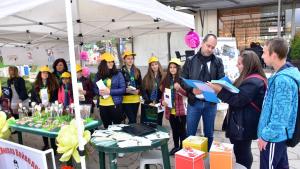 Панорама на образованието Враца