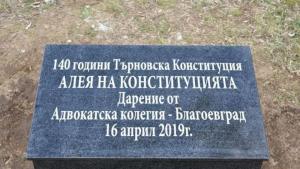 търновска конституция