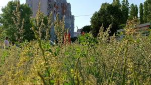 Благоевград