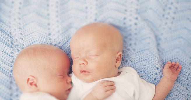Бебета близнаци се появиха на бял свят не само в