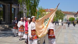Цветница във Видин